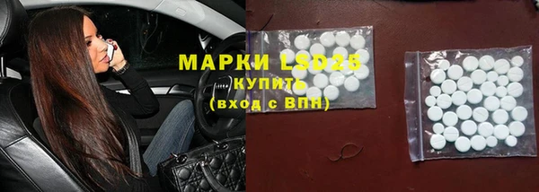 первитин Богданович