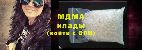 гидра Богородицк