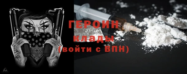 гидра Богородицк