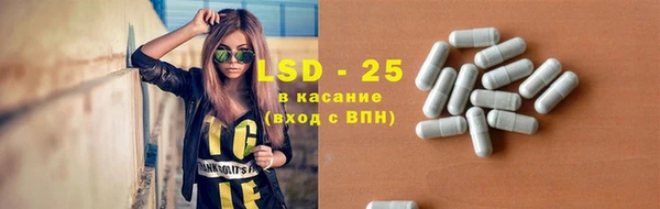 гидра Богородицк