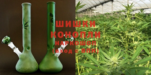 гидра Богородицк