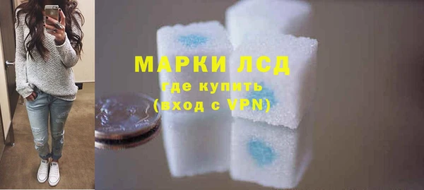 гидра Богородицк