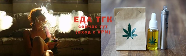 гидра Богородицк