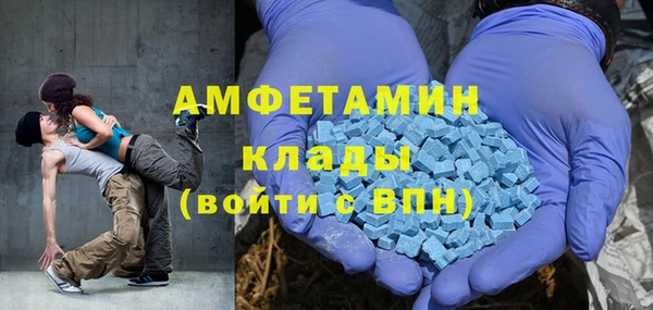 гидра Богородицк