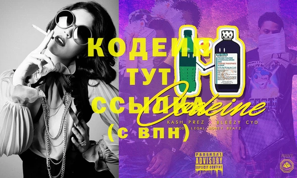 гидра Богородицк