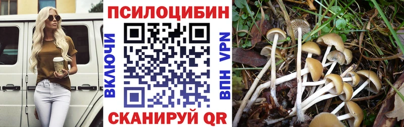 Галлюциногенные грибы мухоморы  Купить закладки  Мамадыш 